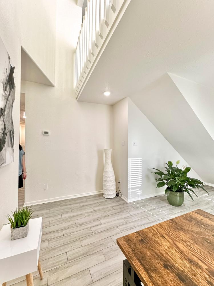 Common spaces including the kitchen