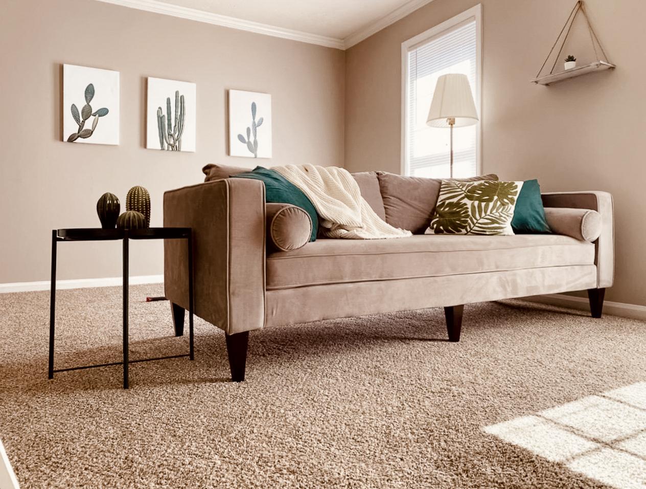 Plush living room equipped with