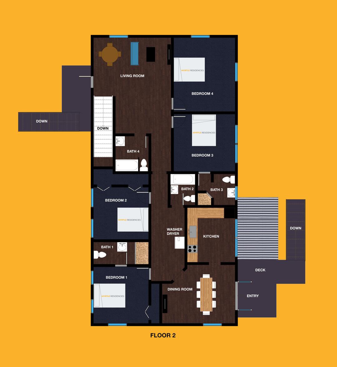 Common spaces including the kitchen