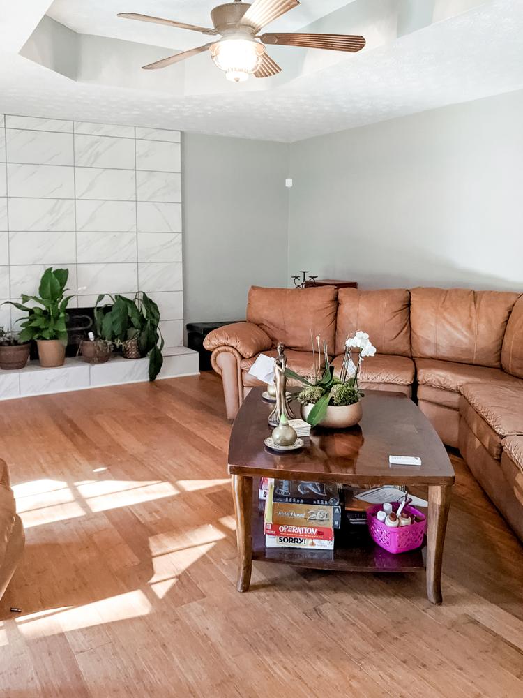 Common spaces including the kitchen