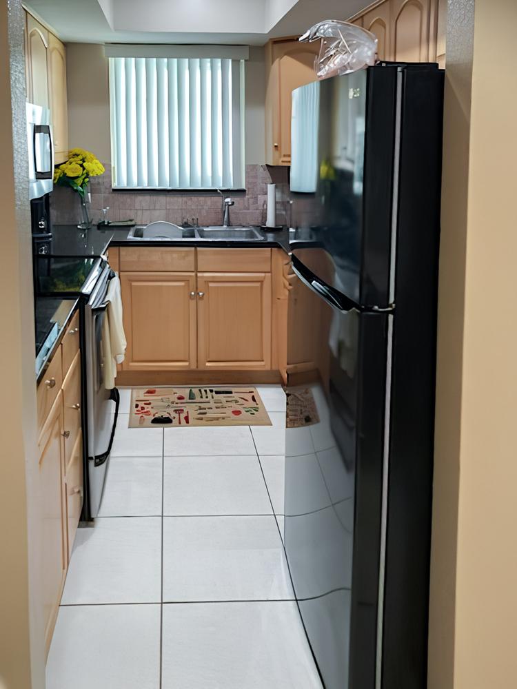 Common spaces including the kitchen
