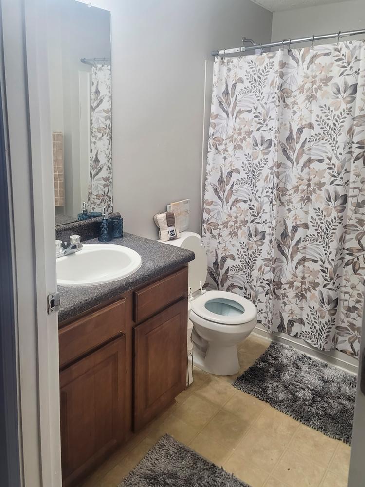 Bathroom(s)
