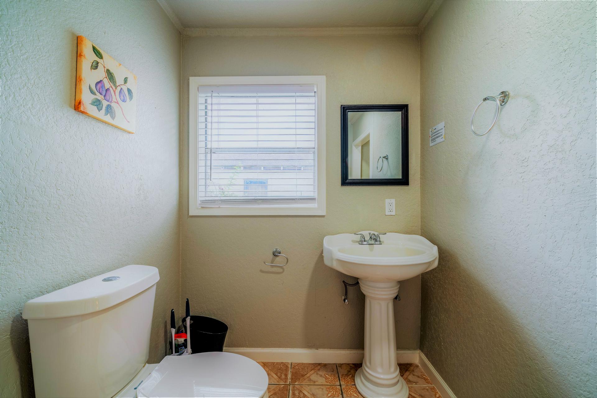 bathroom, detected: home appliance, window blind