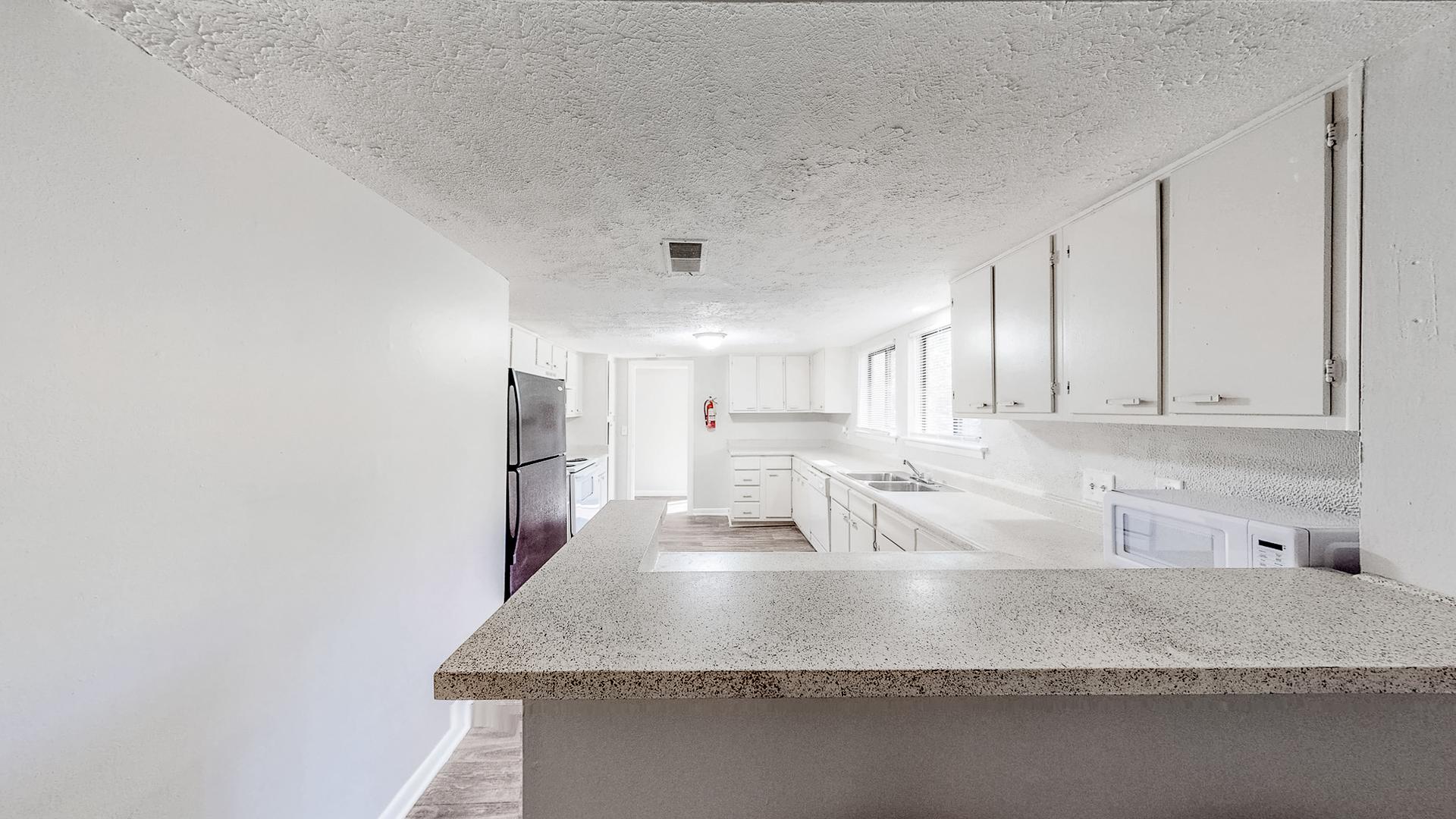 Common spaces including the kitchen