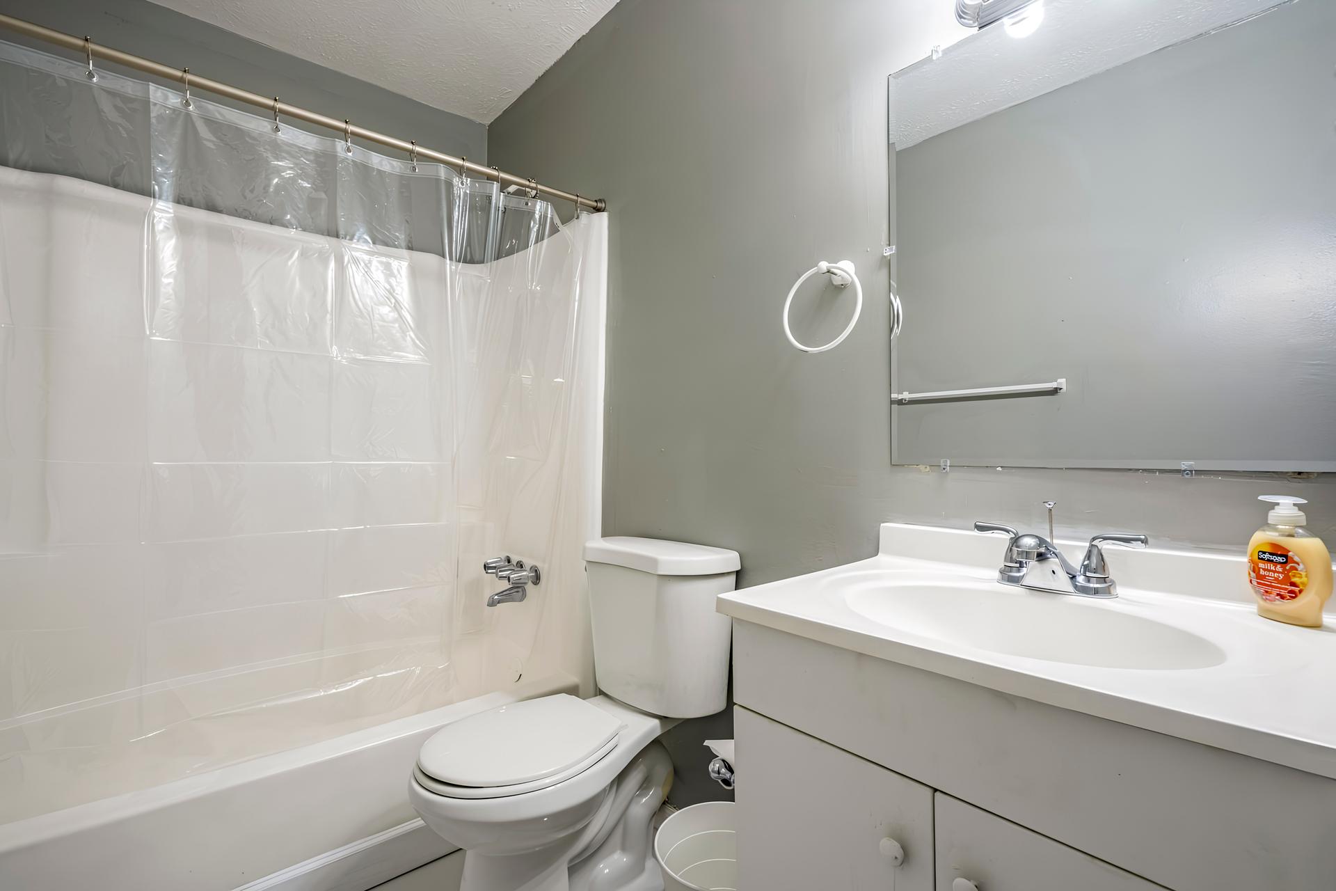 bathroom, detected:bathtub, shower