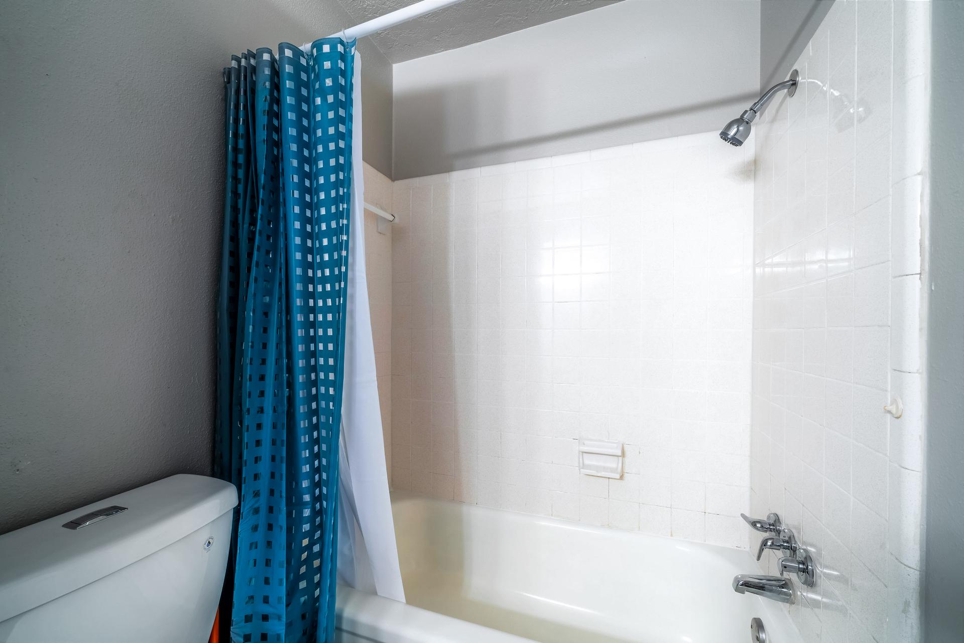 bathroom, detected: bathtub, shower