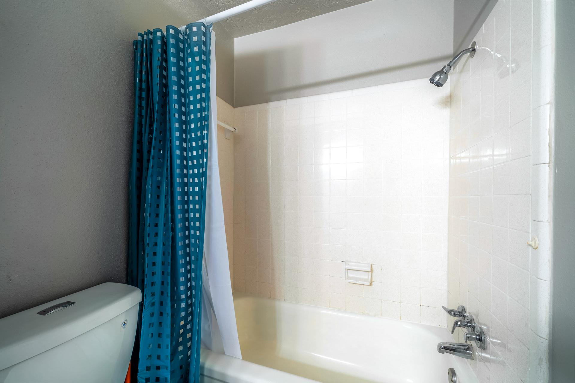 bathroom, detected: bathtub, shower