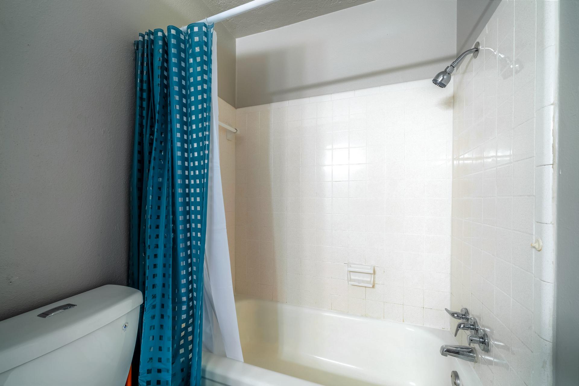 bathroom, detected: bathtub, shower