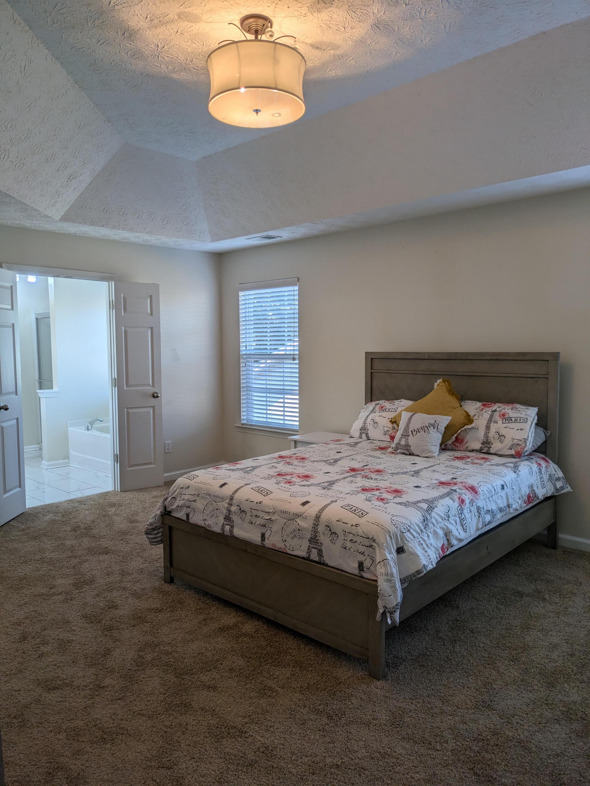 Master Bedroom with 2 closets