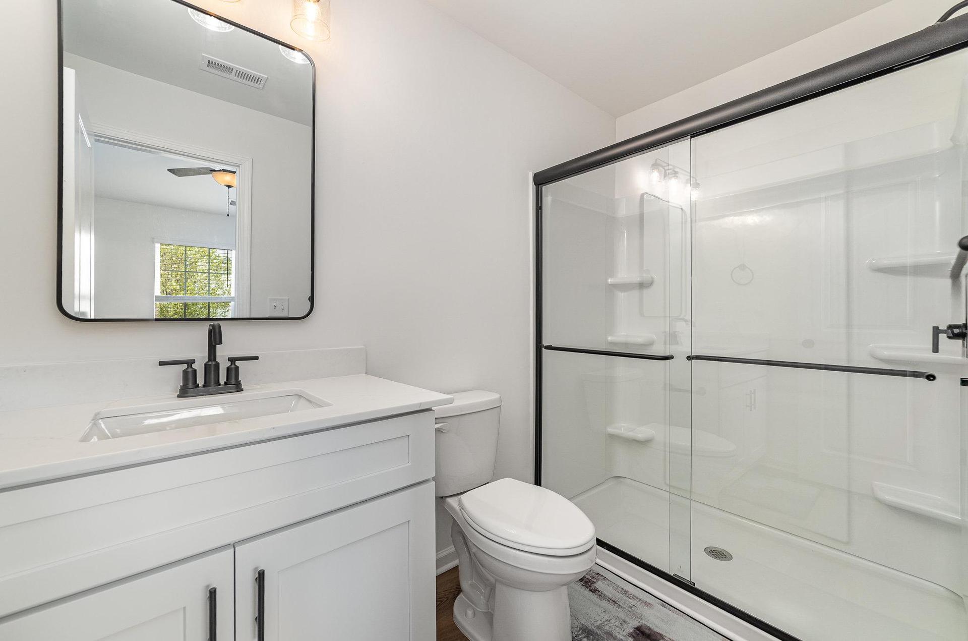 Walk-in shower, toilet,  vanity