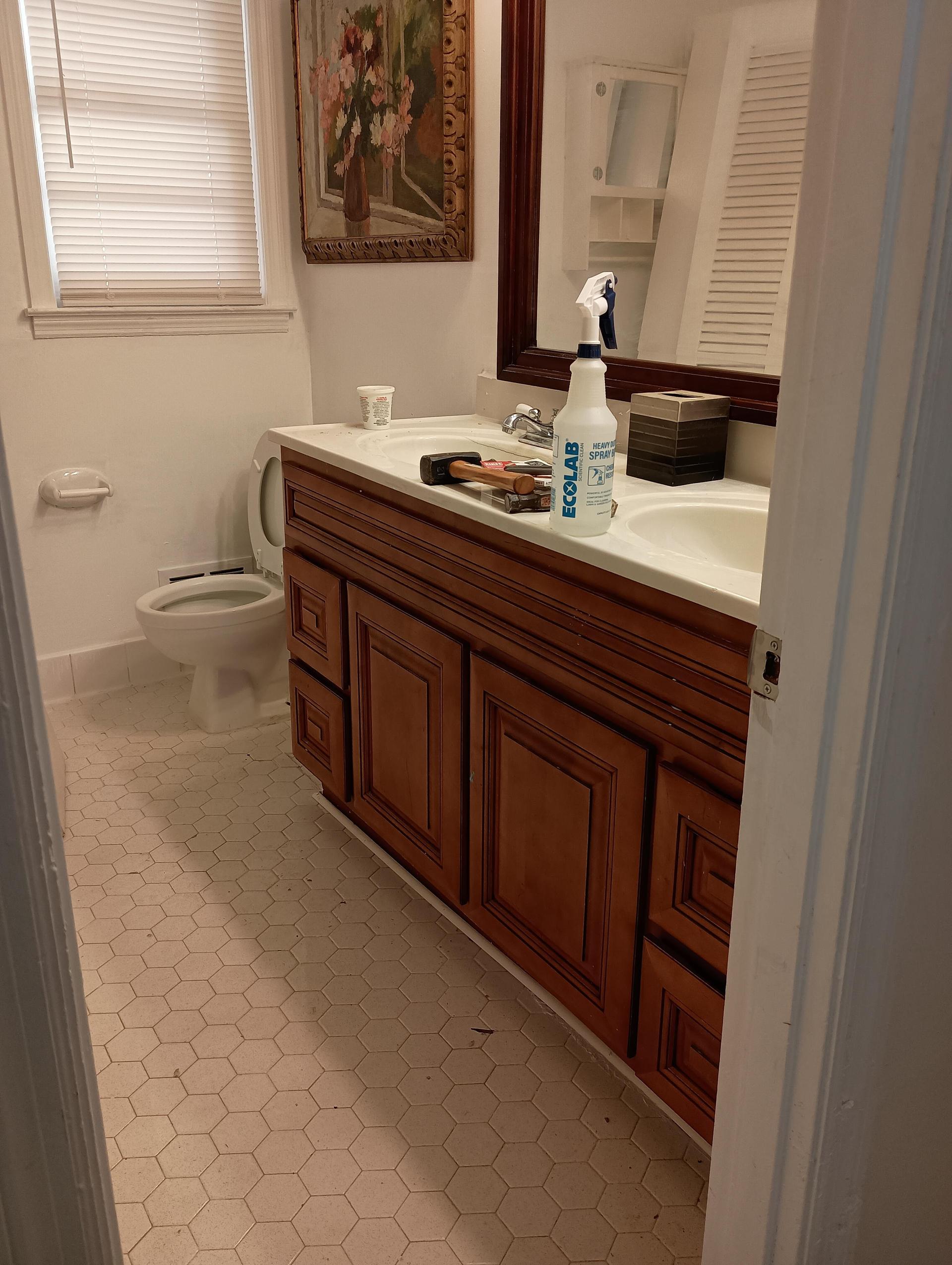 Water basin and double sink vanity