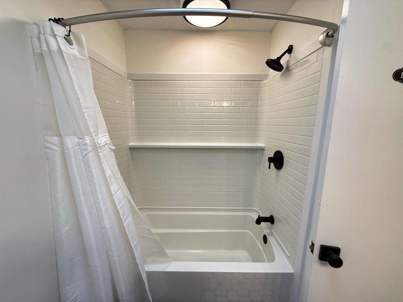 Lower Level Bathroom