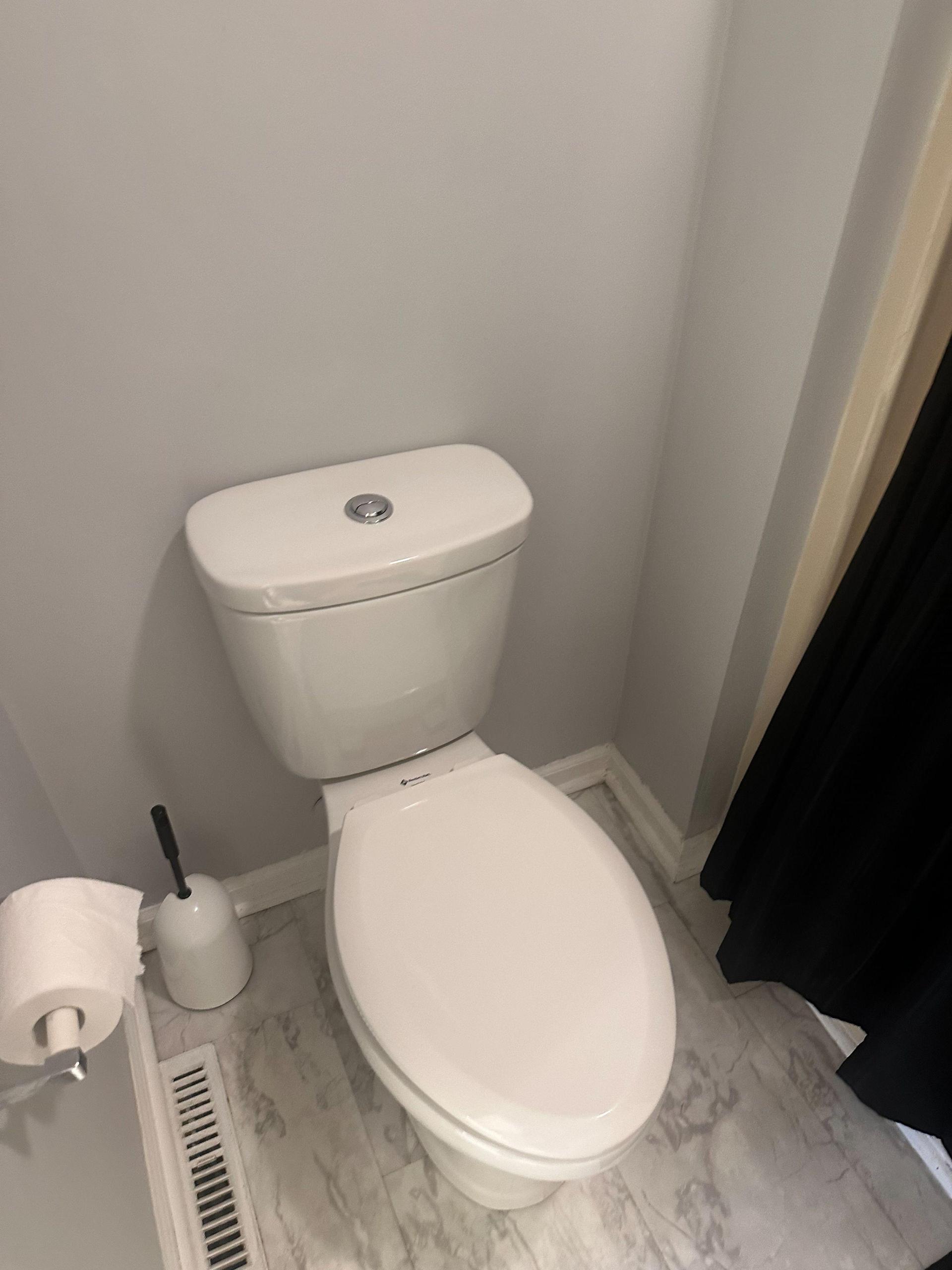 Your toilet is a double flush toilet. ONLY PLACE TOILET PAP