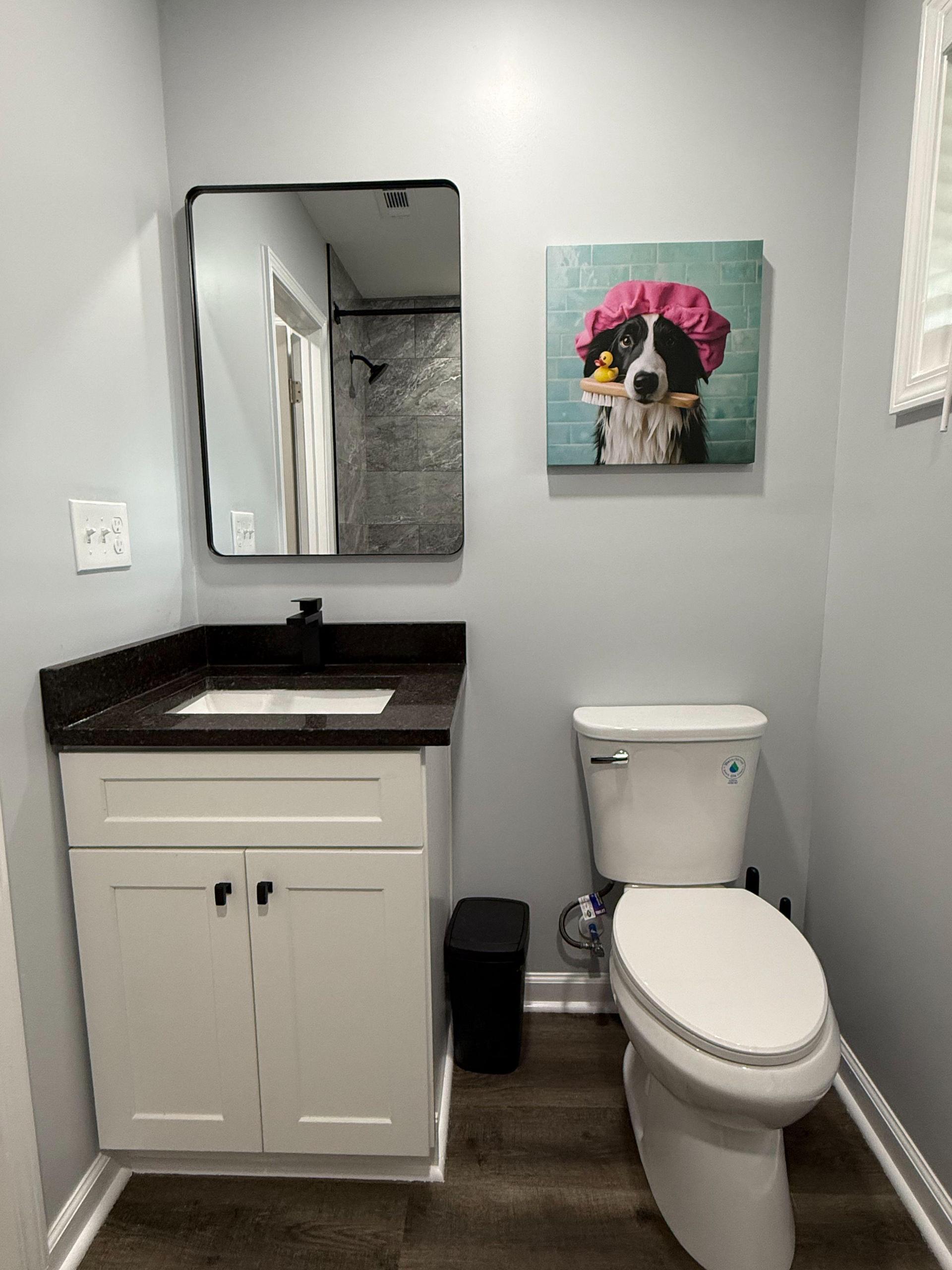 Quartz Vanity and elongated toilet