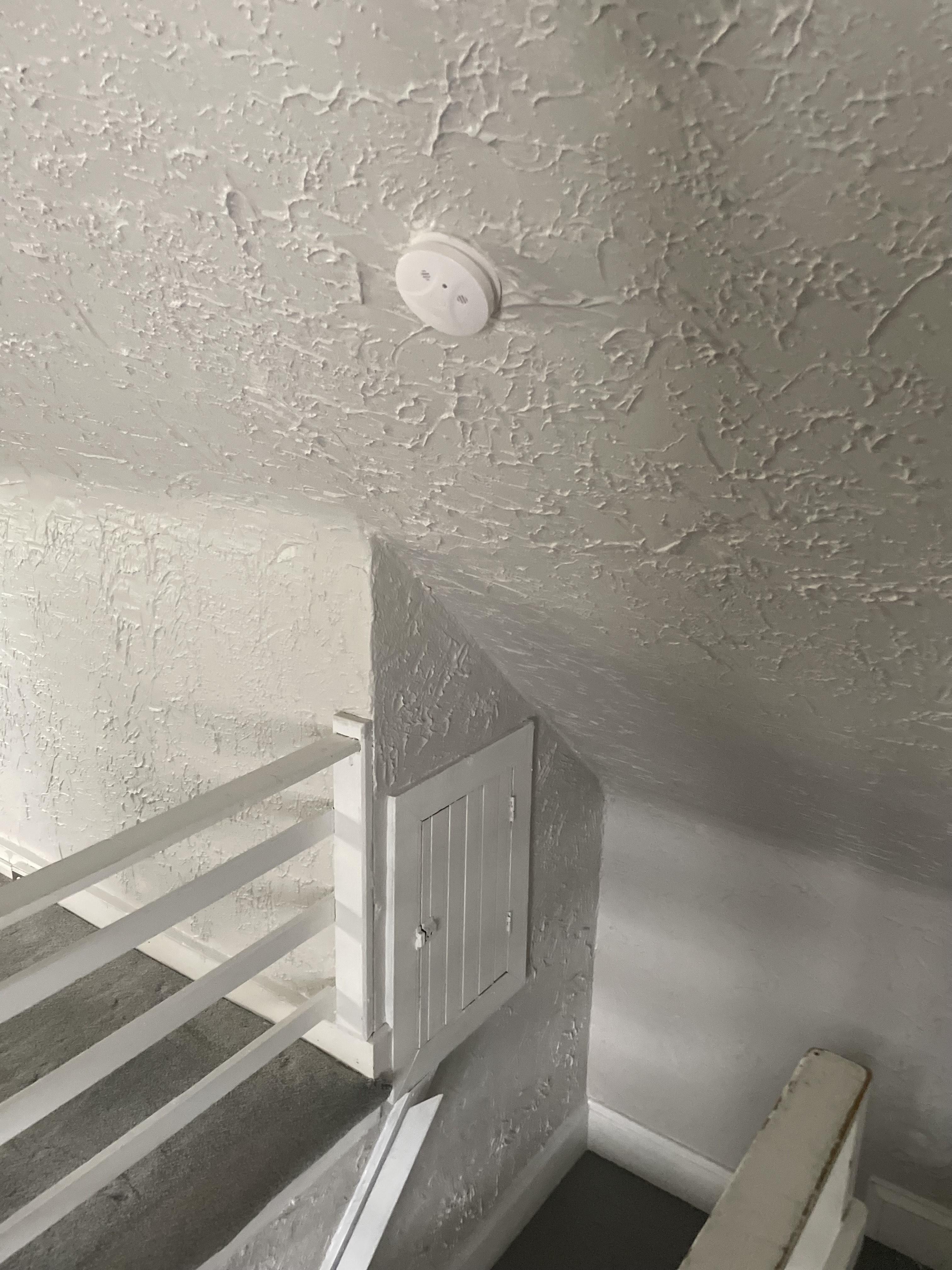 Room for Rent - Comfortable & Beautiful Cleveland Heights Duplex / Multiplex with Backyard