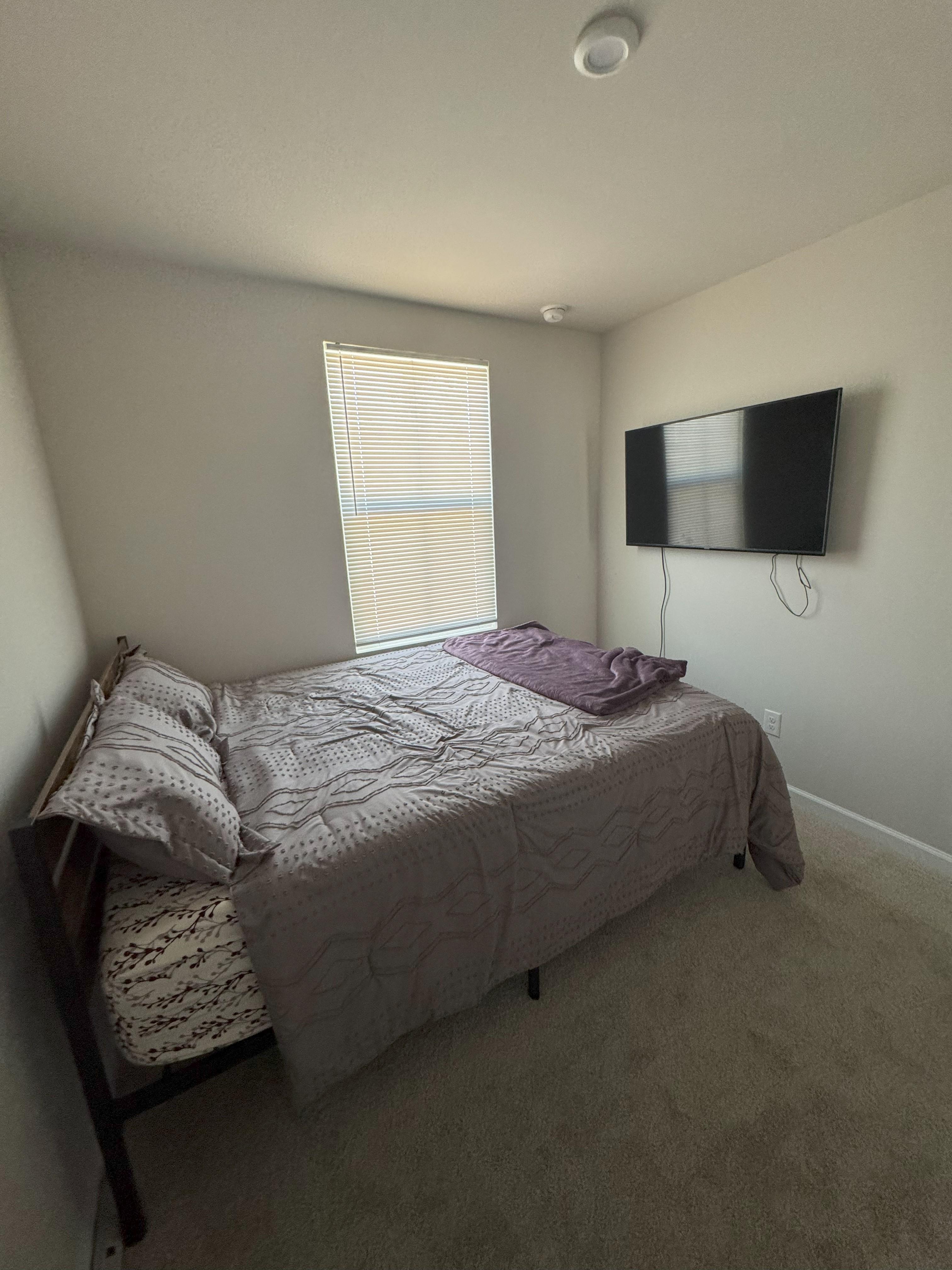 Room for Rent - Live in Slater Road / Hamilton Circle