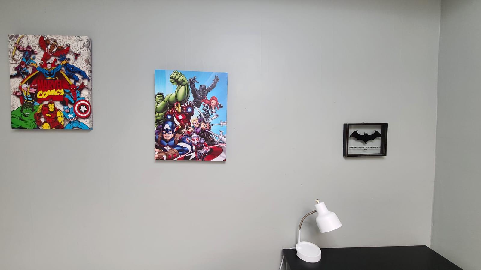 Room for Rent - Live in South Clifton Park: Newly renovated, specious house, tall ceilings, private backyard, HVAC,