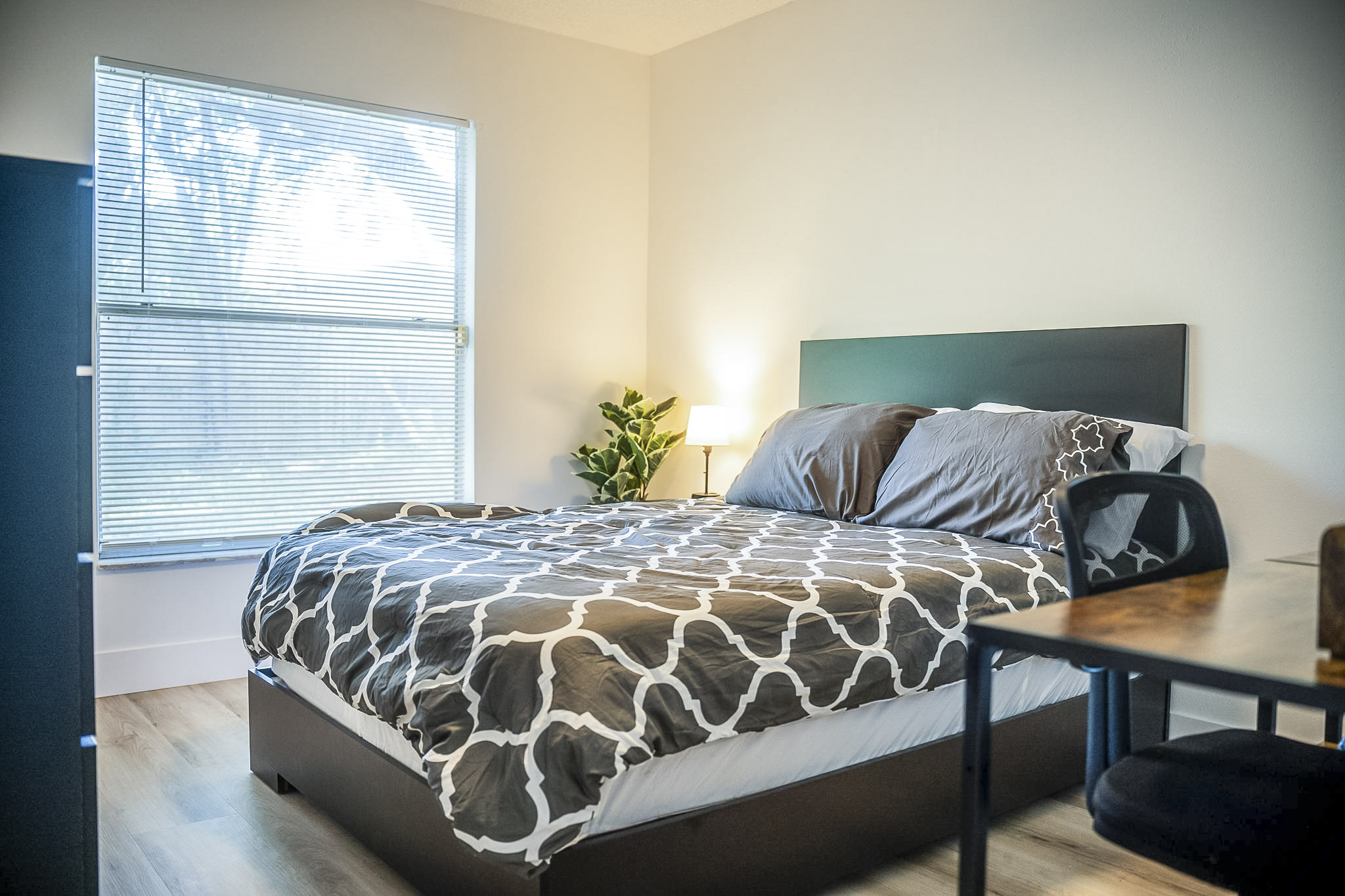 Room for Rent - Modern & Newly-Renovated Co-Living Home with Workspace in Orlando