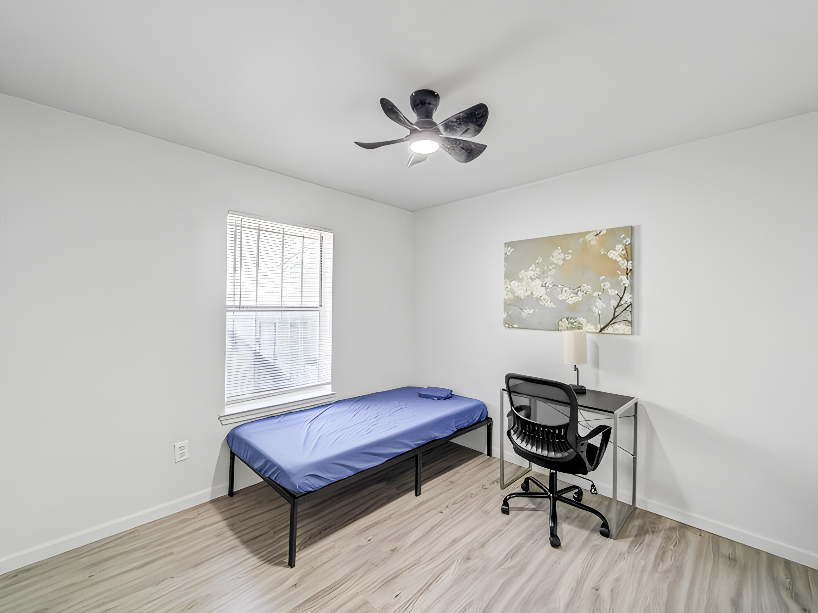 Room for Rent - Dallas House. Newly-renovated & comfortable