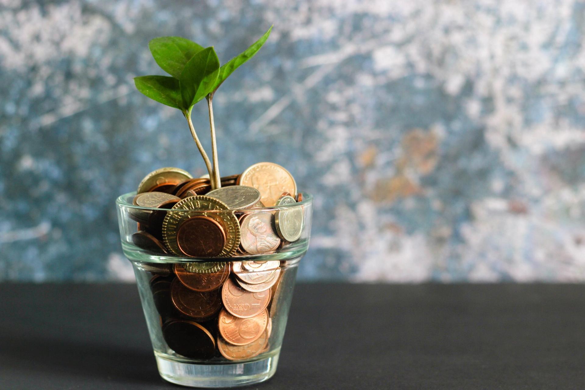 3 Types of Savings Accounts and How They Work PadSplit 3 Types of Savings Accounts and How They Work PadSplit